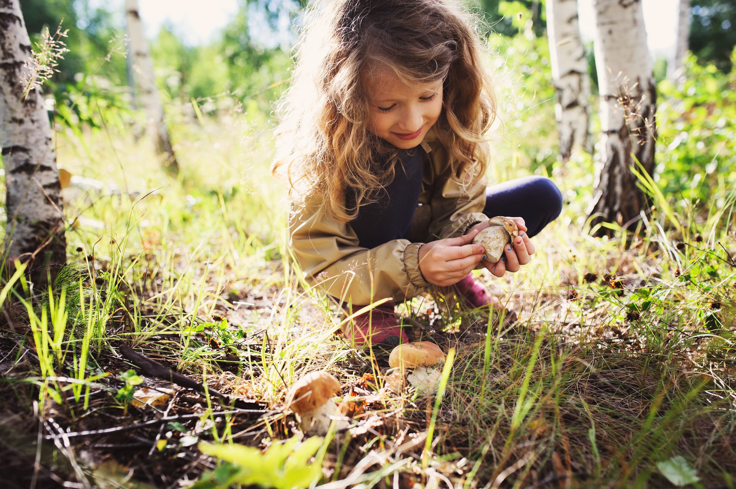 Child exploring the forest