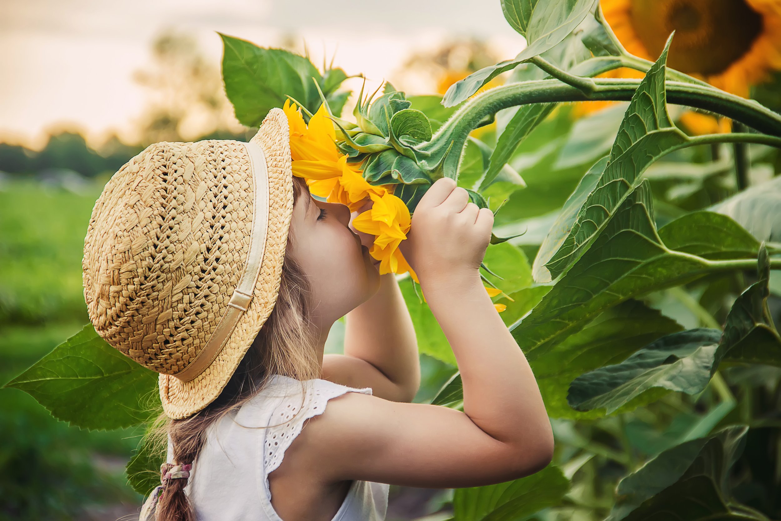 Child smelling a sunflower
